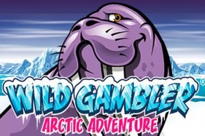 Arctic adventure Spielautomat