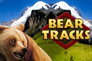 Bear tracks Video Slot