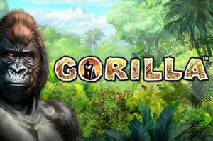 Gorilla Automatenspiel