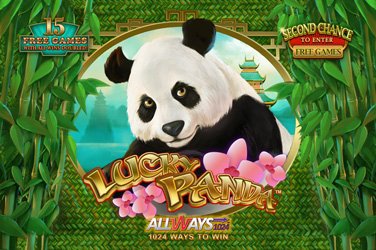 Lucky panda Videoslot