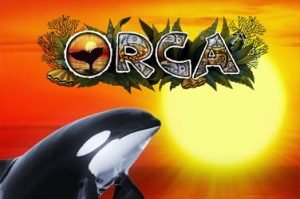 Orca Automatenspiel