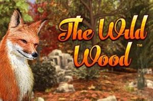 The wild wood Video Slot
