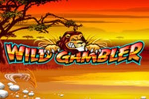 Wild gambler Spielautomat