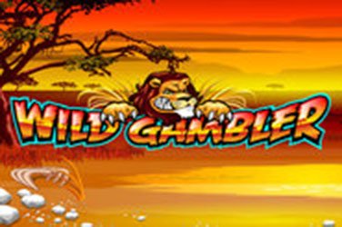 Wild gambler kostenlos spielen