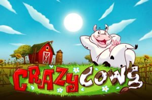 Crazy cows Gl?cksspielautomat