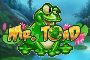 Mr toad Automatenspiel