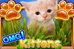 Omg kittens Videospielautomat