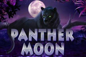 Panther moon Spielautomat
