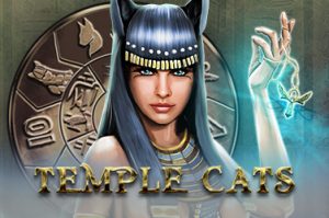 Temple cats Videospielautomat