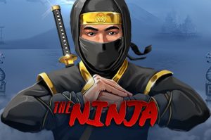 The ninja Video Slot