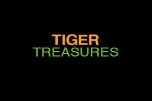Tiger treasures Slotmaschine