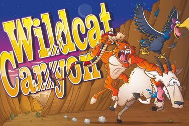 Wild cat canyon kostenloses Demo Spiel
