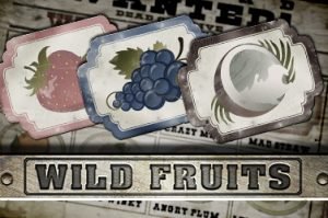 Wild fruits Automatenspiel