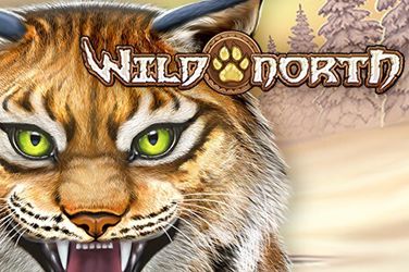 Wild north kostenlos online spielen